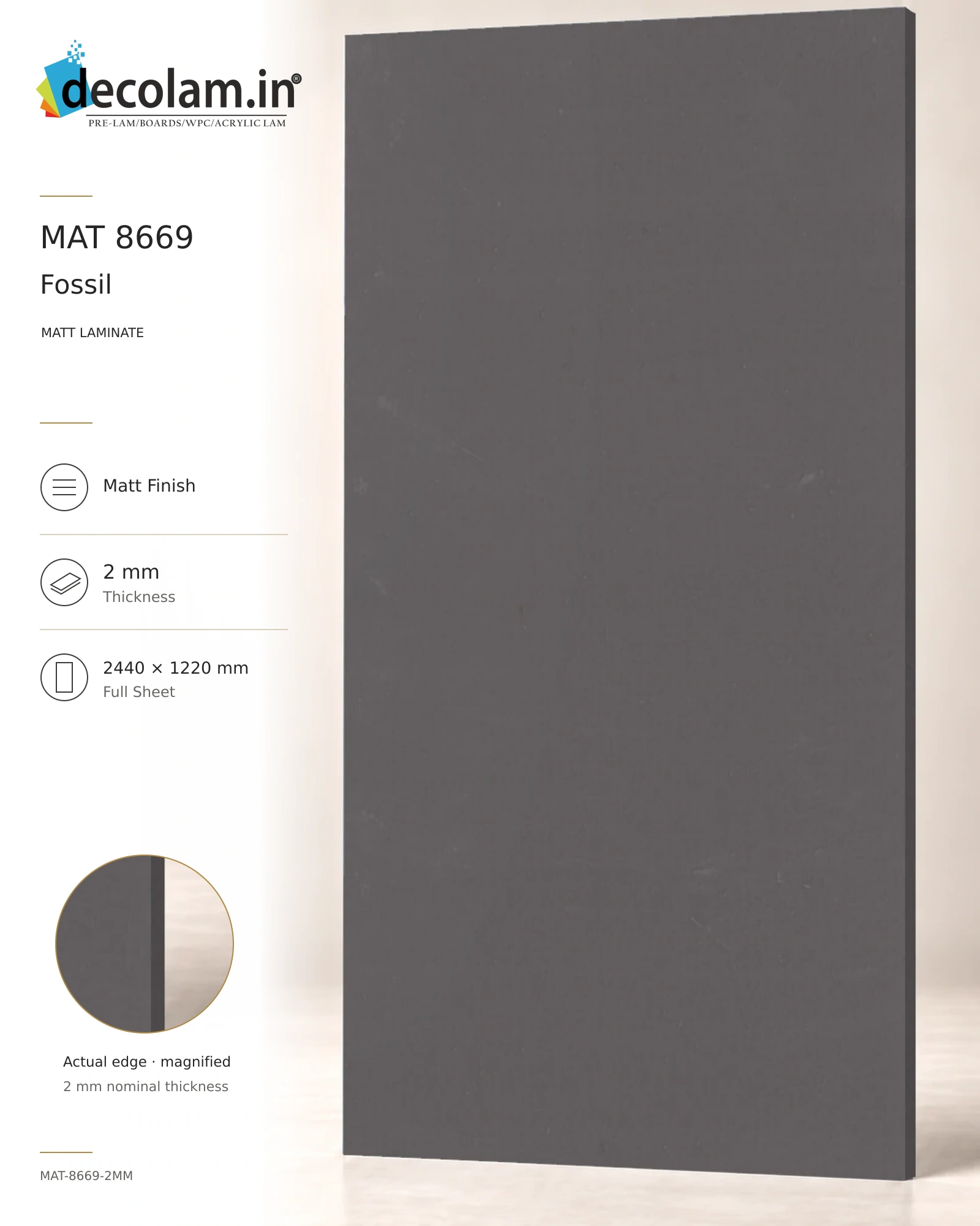 Fossil Matt